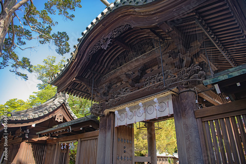 静岡 三嶋大社 神門 photo