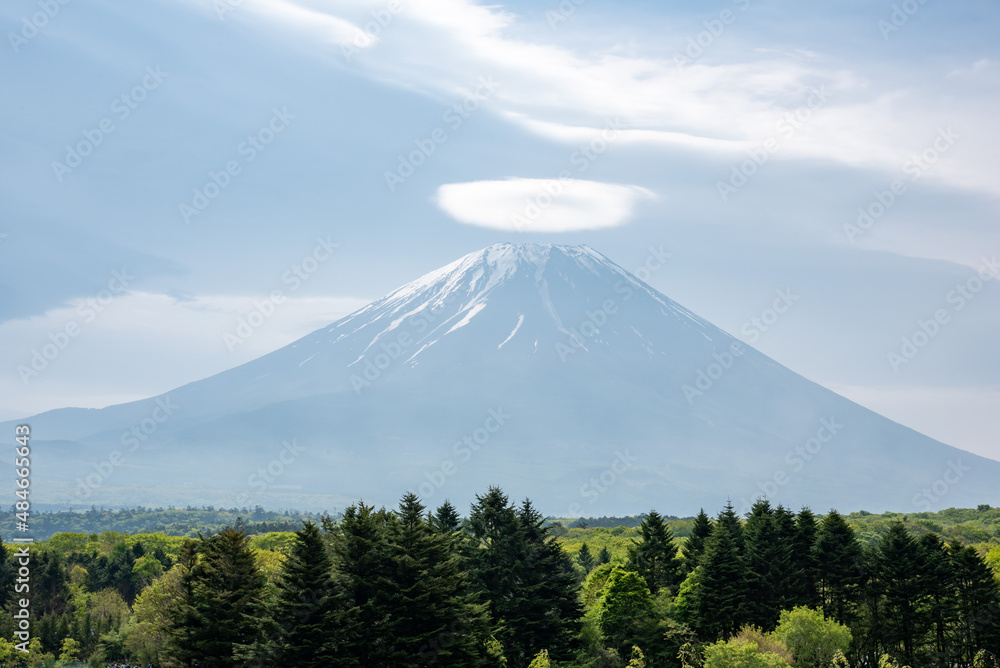 富士山と芝桜