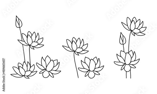Seth, lotus flowers on a white background. Vector illustration in doodle style. Drawn in outline.