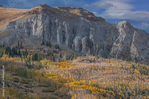 Autumn landscape of an aspen grove and San Juan Mountains  Colorado  USA