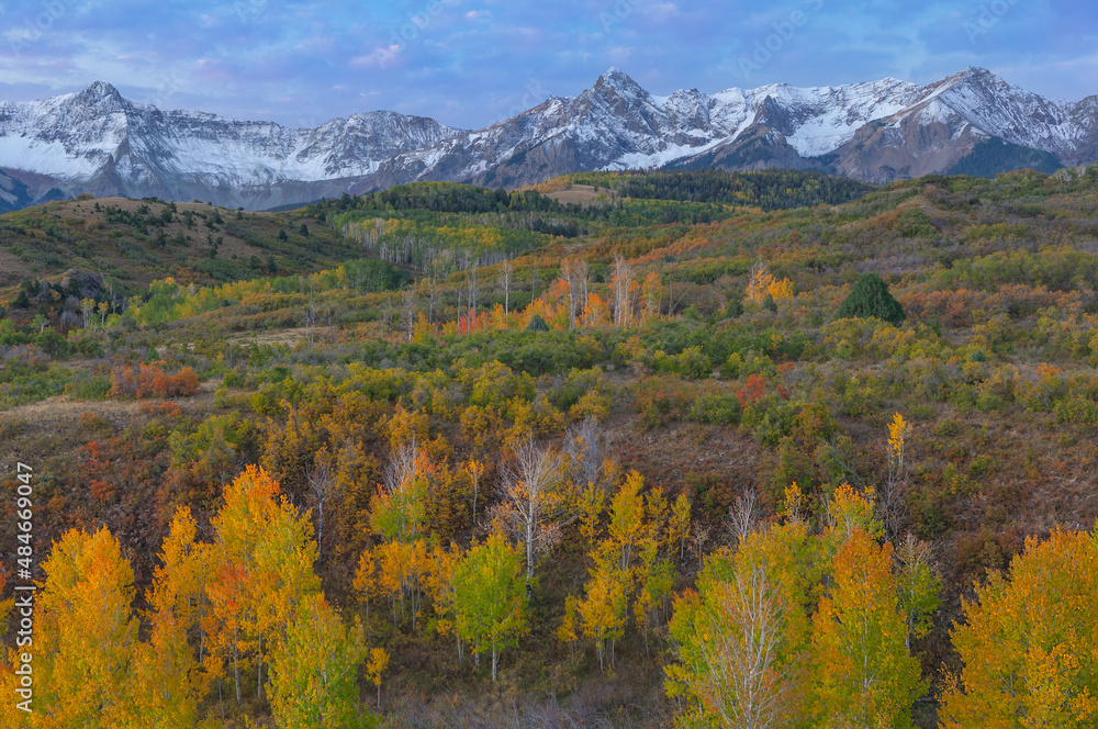 Autumn landscape at dawn, Dallas Divide, San Juan Mountains, Colorado, USA