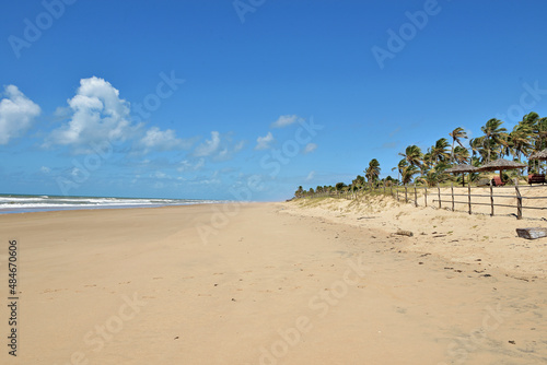 Praia com coqueiros e c  u azul.