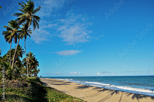 Fototapeta Naklejka Na Ścianę i Meble -  Praia com coqueiros e céu azul