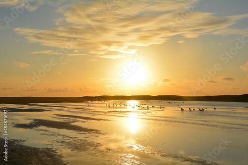 Low tide by sunset over  the sea with gulls