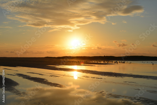 Low tide by orange sunset over  the sea with lots of seagulls