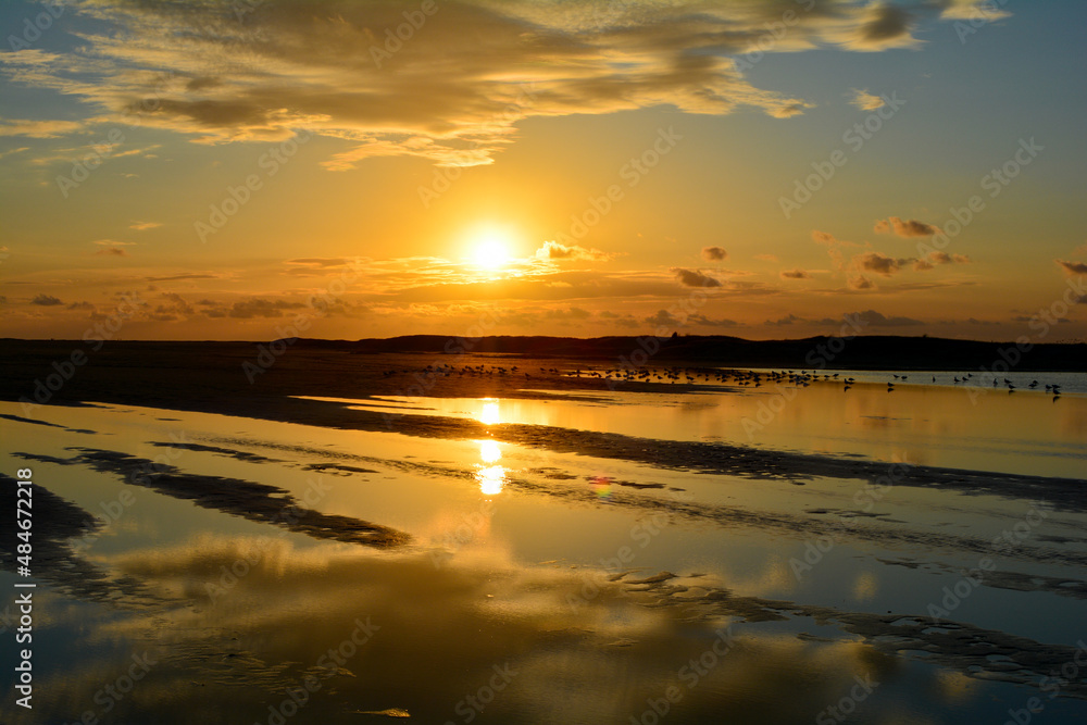 Sunset at low tide over the sea with birds Sunset at low tide over the sea with birds