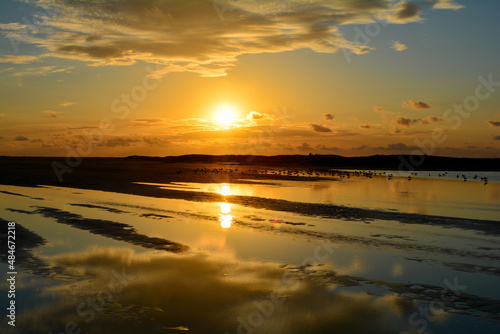 Sunset at low tide over the sea with birds