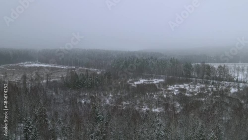 Wallpaper Mural Lifting the drone over the tops of the snow-covered forest. View over the treetops of the forest and snow-covered lawns. Snowy treetops and gray skies. Rime ice and hoar frost covering trees. Torontodigital.ca