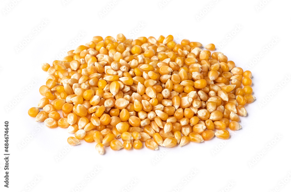 Dried corn or popcorn grains isolated over white background Dried corn or popcorn grains isolated over white background