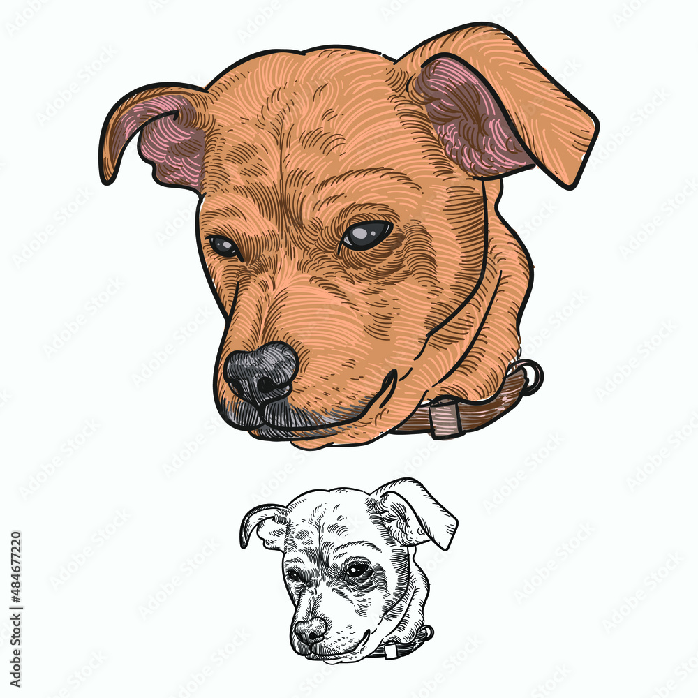 Chihuahua Beagle Terrier Mix