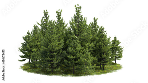 Cutout trees. Garden design isolated on white background. Decorative shrub for landscaping. Clipping mask available for composition.