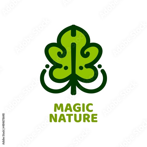 magic leaf nature logo concept design illustration