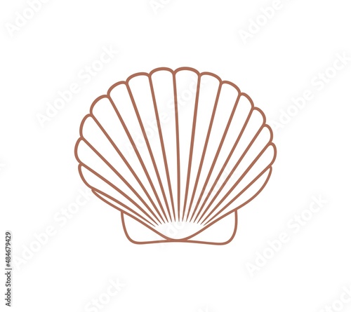 Scallop outline. Isolated scallop on white background