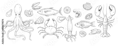Sea food set sketch engraving retro illustration