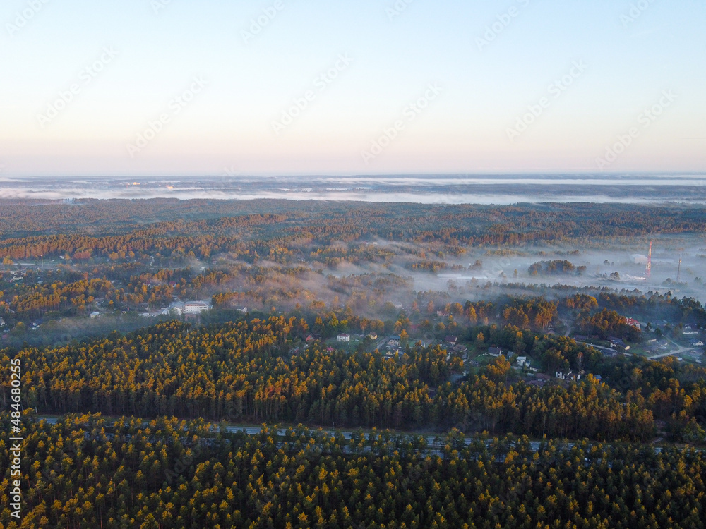 Sky morning forest fog drone pictures
