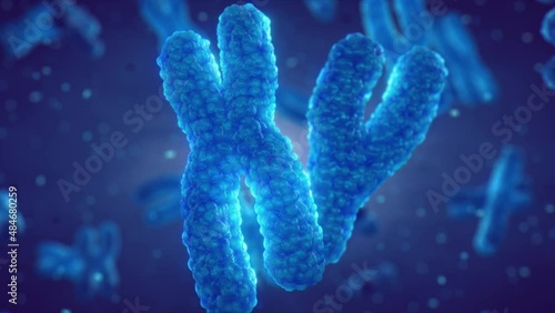 DNA molecules are organized in structures called chromosomes. Genetic DNA testing and analysis animation concept. Zoom into chromosome structure photo