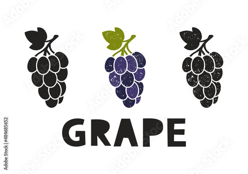 Grape, silhouette icons set with lettering. Imitation of stamp, print with scuffs. Simple black shape and color vector illustration. Hand drawn isolated elements on white background