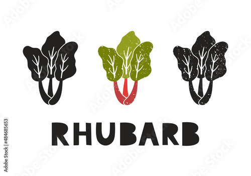Rhubarb, silhouette icons set with lettering. Imitation of stamp, print with scuffs. Simple black shape and color vector illustration. Hand drawn isolated elements on white background photo