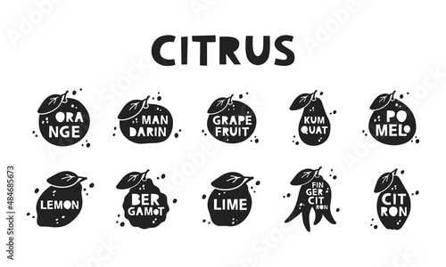 Citrus, silhouette stickers set. Orange, tangerine, grapefruit, kumquat, citron, pomelo, lemon, lime, bergamot. Black hand drawn icons with lettering inside and abstract spots