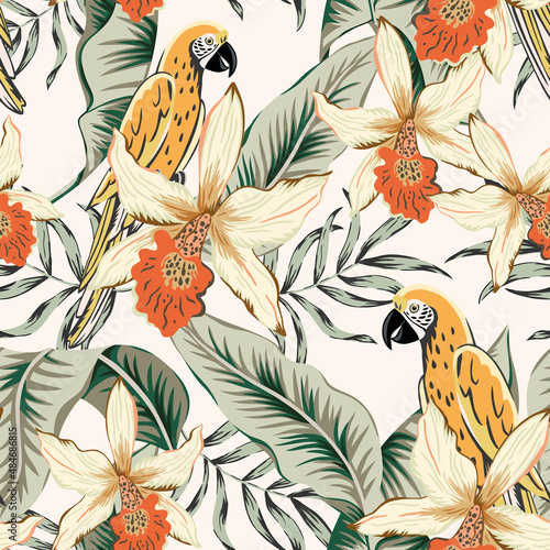Parrots, banana palm leaves, orange orchid flowers, light background. Vector floral seamless pattern. Tropical illustration. Exotic plants, birds. Summer beach design. Paradise nature