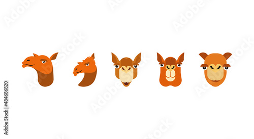 Fototapeta Naklejka Na Ścianę i Meble -  Illustrations of a camel face.  emojis of different camel face set