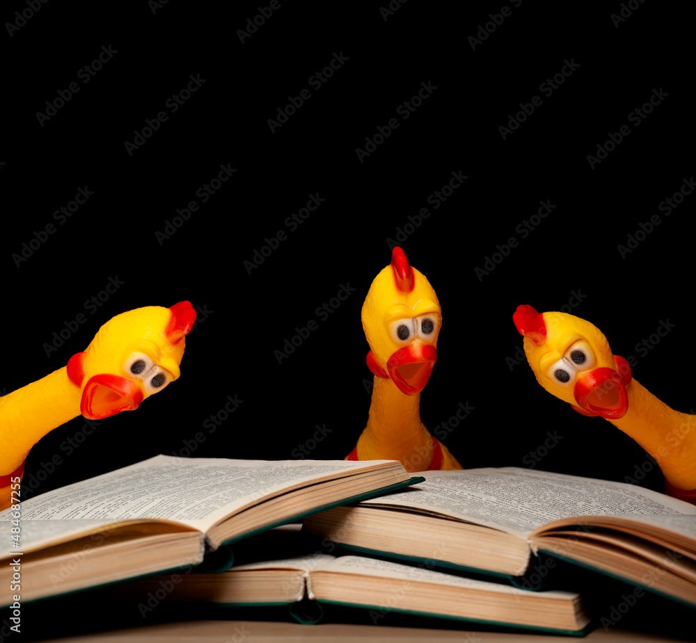 image of rubber chicken book dark background