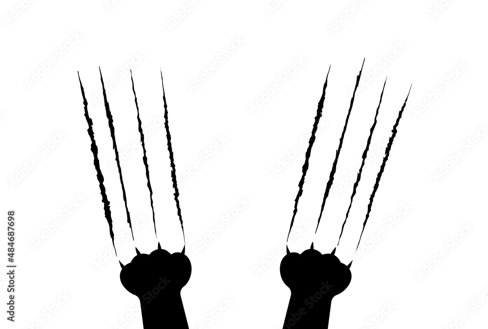 Cat scratch silhouette. Claws scratching wild animal lion tiger bear