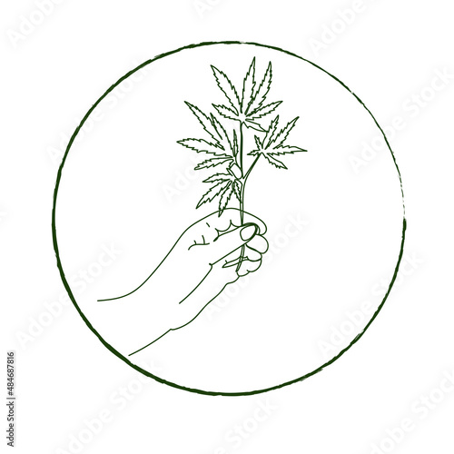 Medical cannabis, hemp. Woman's hand holding a cannabis branch,hand drawing outline vector illustration. Legalization of cannabis. Cannabis logo isolated on white background