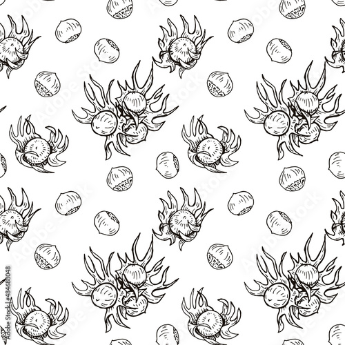 Seamless pattern with hazelnut sketches. Vector background.