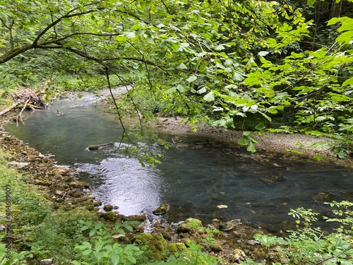 Protected landscape of the small river Kamacnik in Gorski kotar - Vrbovsko  Croatia  Za  ti  eni krajolik rje  ice Kama  nik u Gorskom kotaru - Vrbovsko  Hrvatska 