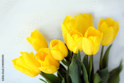 Bouquet of yellow tulips on a white background. Beautiful yellow flowers in a vase behind the wall. International Women is Day 8 March. Copy space.
