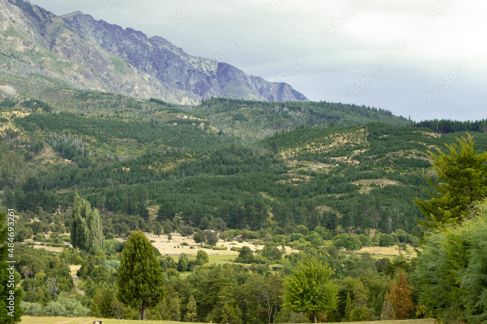 Valle de arboles en la comarca andina Patagonia argentina