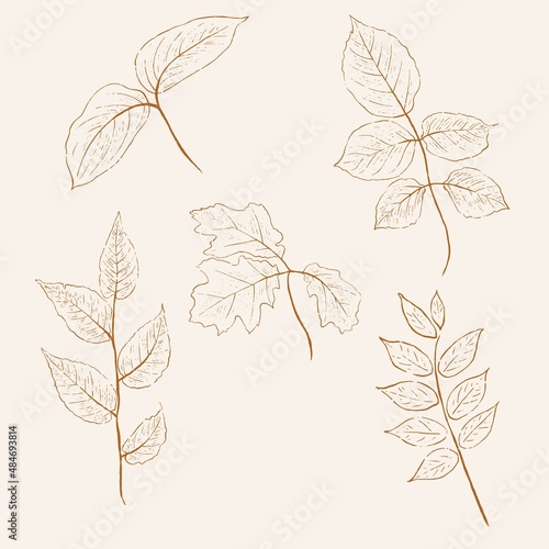 Set of hand-drawn vectors in the clean and modern line style