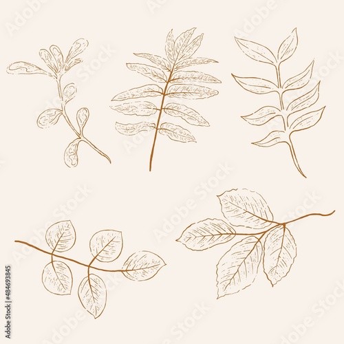 Set of hand-drawn vectors in the clean and modern line style