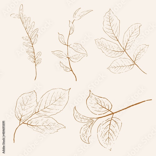 Set of hand-drawn vectors in the clean and modern line style © Rahmat