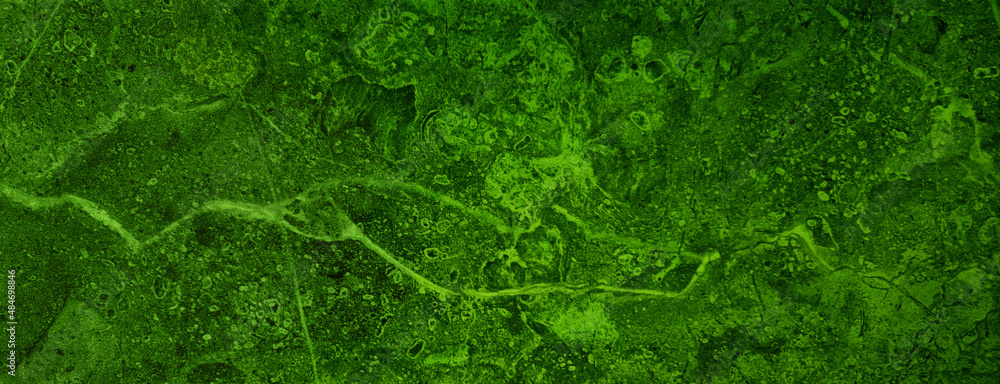 dark green beautiful marble texture background in panoramic view. luxury and elegance green emperado stone use as background. limestone or onyx background for luxury and elegance concept. dark green beautiful marble texture background in panoramic view. luxury and elegance green emperado stone use as background. limestone or onyx background for luxury and elegance concept.
