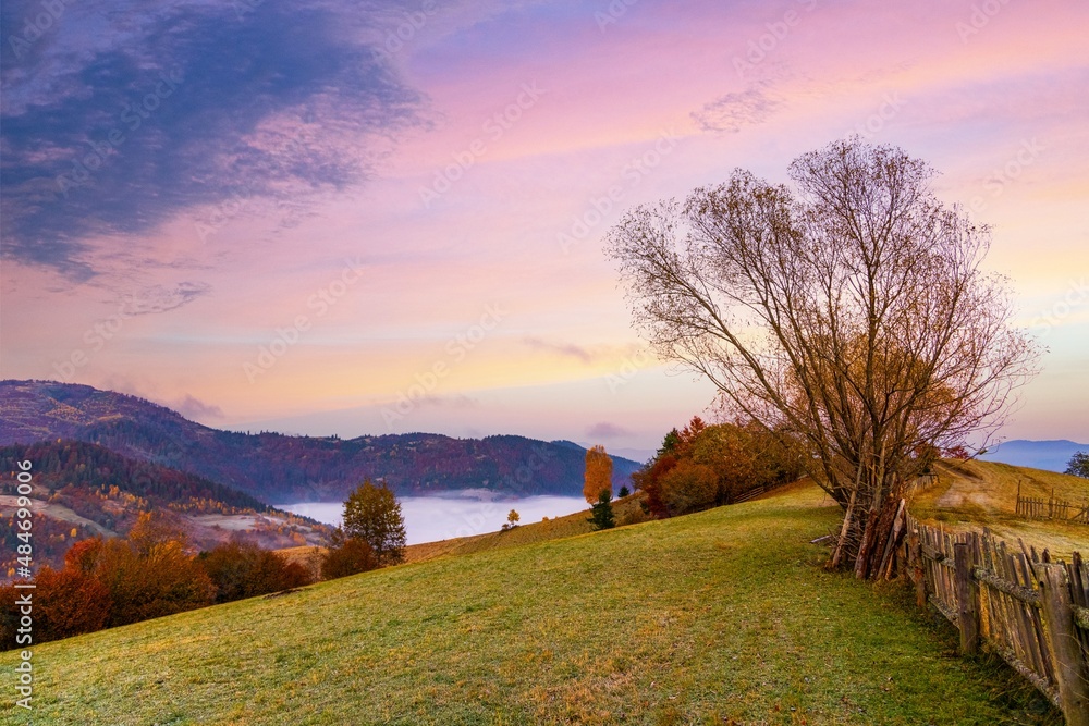Grassy slope and wooden fence against forestry mountains Grassy slope and wooden fence against forestry mountains