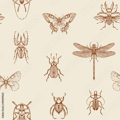 Seamless pattern with detailed brown contour drawings of various insects. Hand-drawn vector background with butterflies, beetles, dragonfly on old paper. Retro-style wallpaper, wrapping paper, fabric