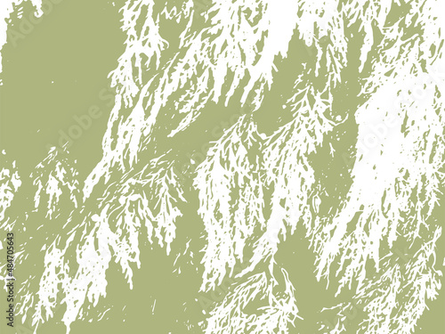 Cypress leaves texture background. Natural grunge vector overlay.