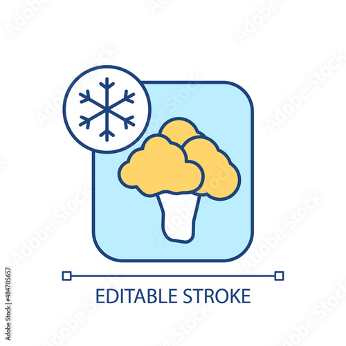 Vegetable freezing RGB color icon. Food refrigeration and cooling. Products preservation. Isolated vector illustration. Simple filled line drawing. Editable stroke. Arial font used