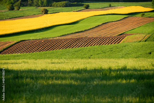 Green farmland, Landscape with arable fields, Poland