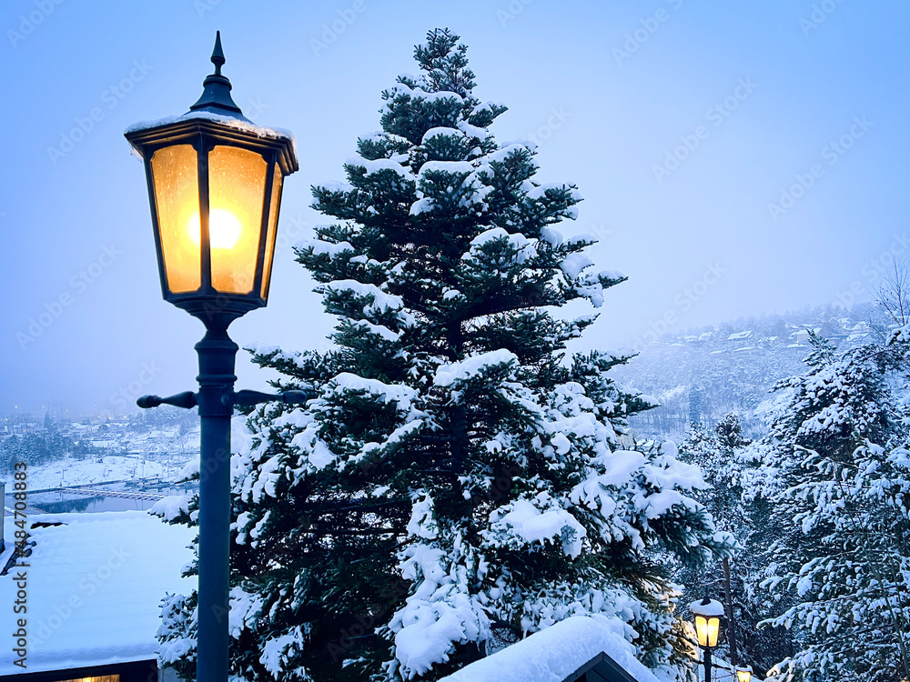 street lamp in winter in Oslo