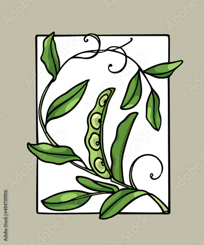 Vector card with hand drawn graceful bean plant with leaves and tendrils in frame. Ink drawing, graphic style. Beautiful healthy or vegetarian food design elements