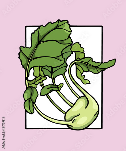 Vector card with hand drawn graceful kohlrabi plant in frame. Ink drawing, graphic style. Beautiful healthy or vegetarian food design elements