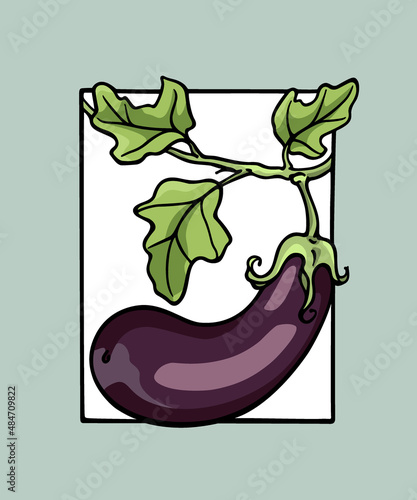 Vector card with hand drawn graceful purple eggplant with leaves in frame. Ink drawing  graphic style. Beautiful healthy food design elements