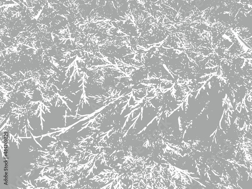 Textured Cypress Leaves vector overlay. Natural spiky pattern background.