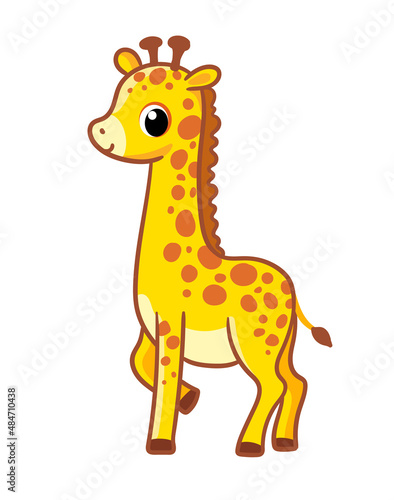 Giraffe baby on a white background. Vector illustration with a giraffe in cartoon style.