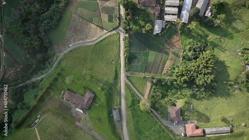 Hermosa vista cenital de atardecer sobre camino, cultivos, fincas y auto.