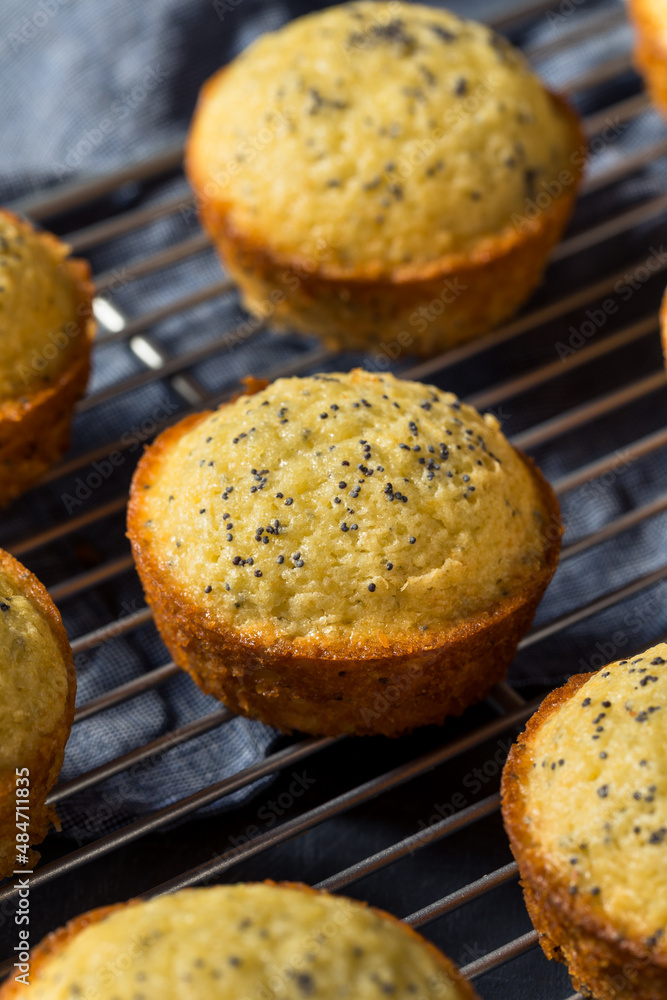 Homemade Lemon Poppyseed Muffins
