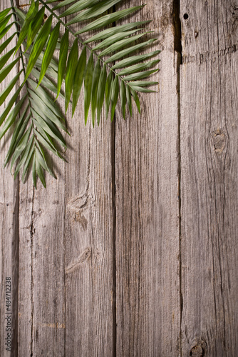 exotic leaves on old wooden background